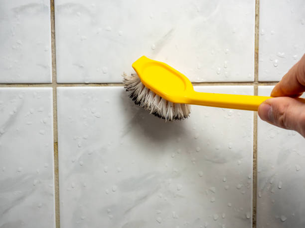 Best Attic Mold Removal  in Ebensburg, PA