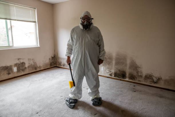 Best Mold Testing  in Ebensburg, PA